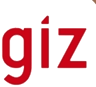 GIZ logo