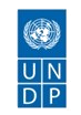UNDP logo